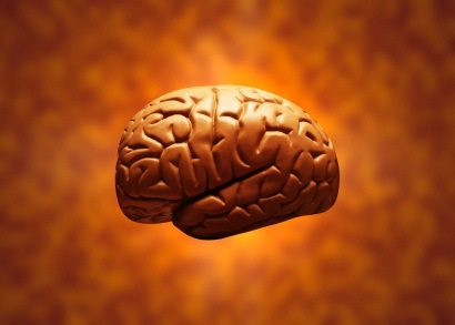 brain-ego-mind
